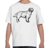 Youth Essential-T T-Shirt Thumbnail