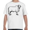 Youth Essential-T T-Shirt Thumbnail