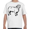 Youth Essential-T T-Shirt Thumbnail