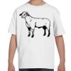 Youth Essential-T T-Shirt Thumbnail