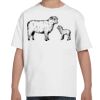 Youth Essential-T T-Shirt Thumbnail