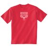 Heavy Cotton Toddler T-Shirt Thumbnail