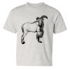 Heavy Cotton™ Youth T-Shirt Thumbnail