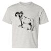 Heavy Cotton™ Youth T-Shirt Thumbnail